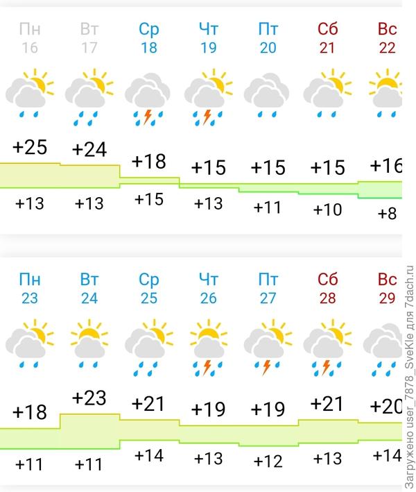 Снега нет, и на том СПАСИБО)