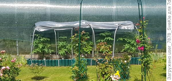 Надеюсь, видно