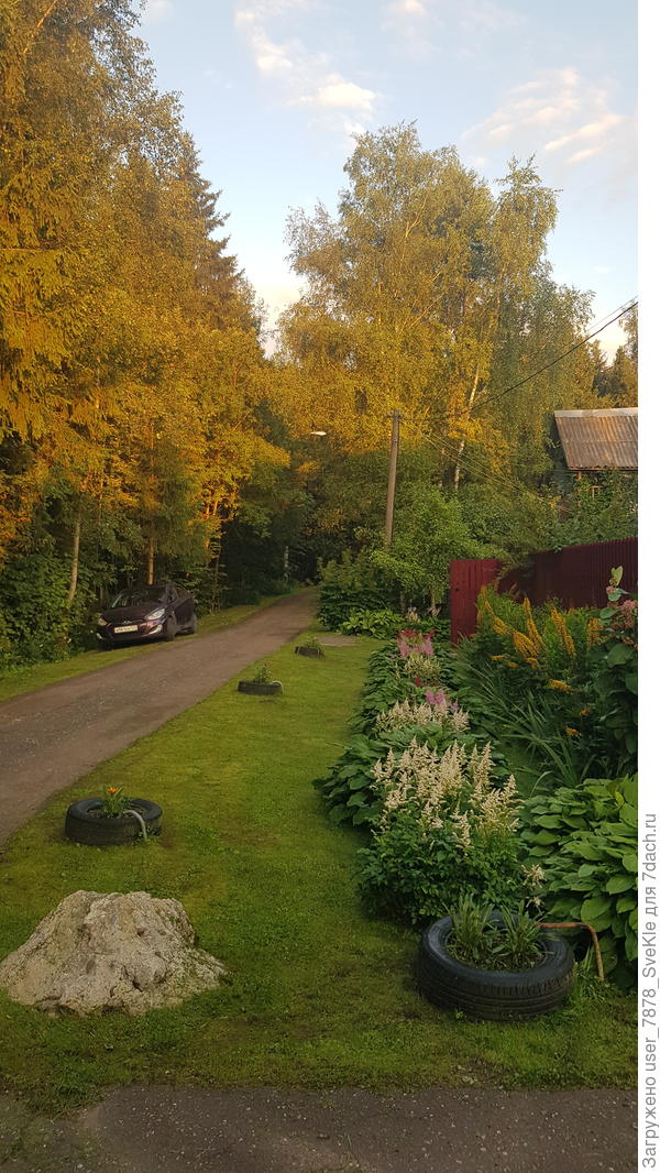 А на вот этом бетонном изваянии в прошлом году Форд на брюхе застрял. Выпил человек и поехал на колодец за водой...