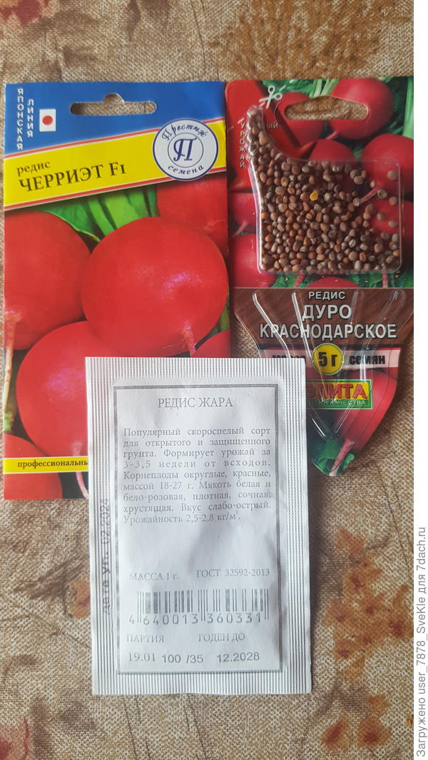 Редис Дуро краснодарское, Жара, Черриэт.