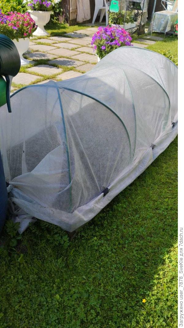 Солнце термоядерное