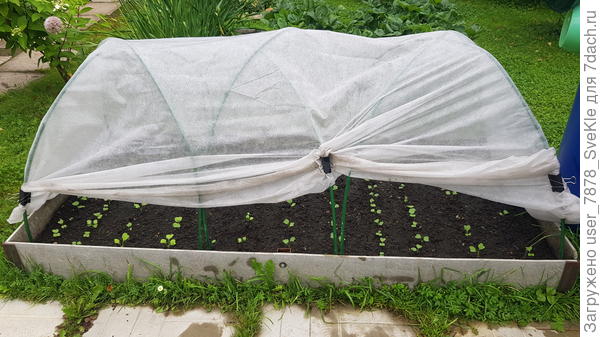 Через неделю посмотрим 😊