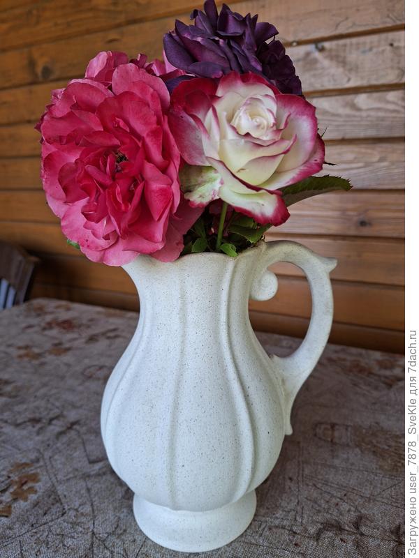 Всем прекрасных выходных!