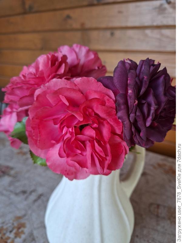 Цветут до упора