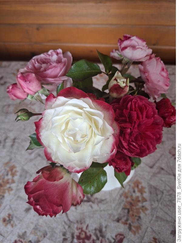 Осенние букеты)