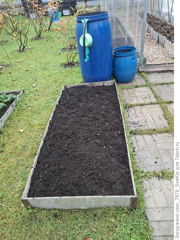 Приготовили грядочку под озимый чеснок