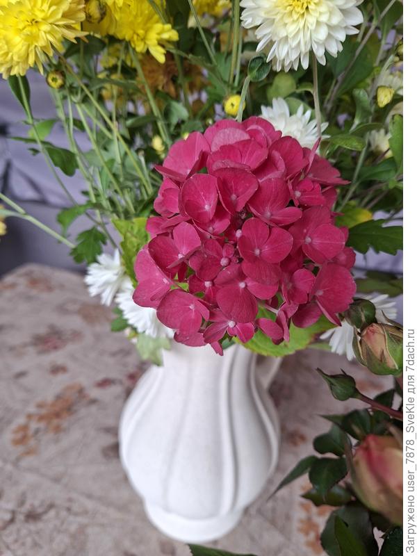 Цветок - в осенний букет