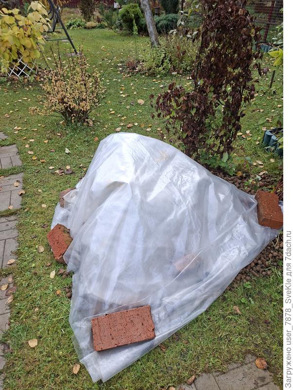 А их уложили на покой