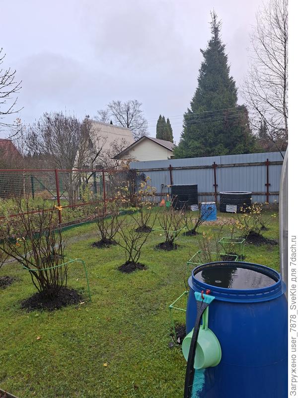 ...и везде компост)