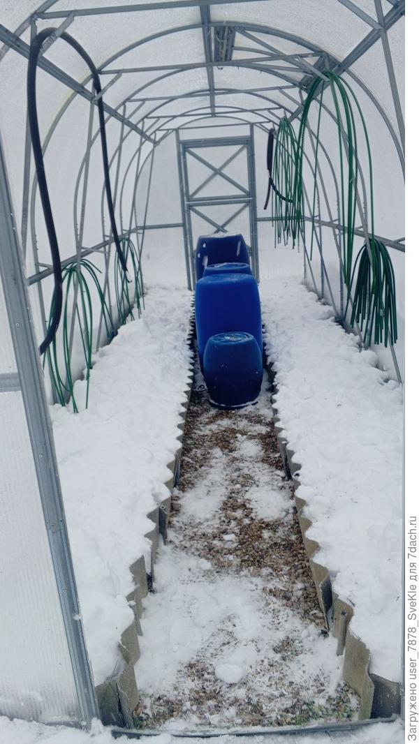 Сегодня. 4.01.2026