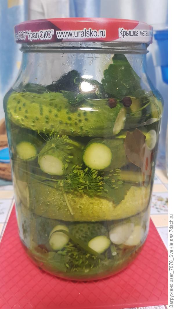 Малосольными огурчиками