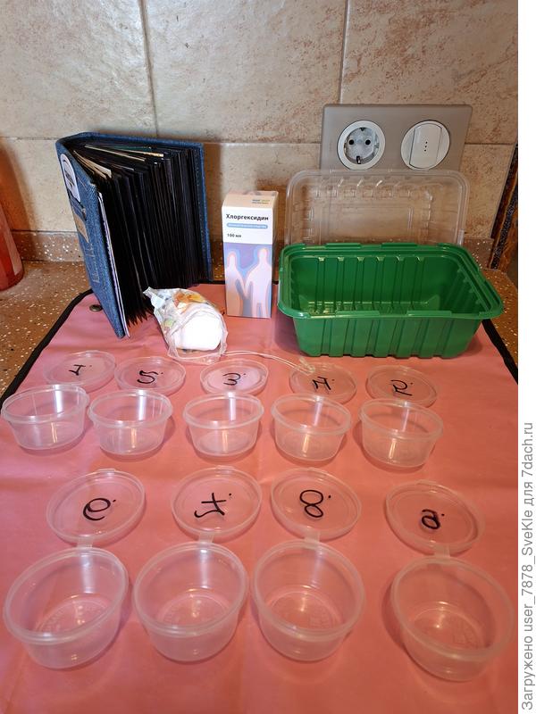 21.02. замочила семена