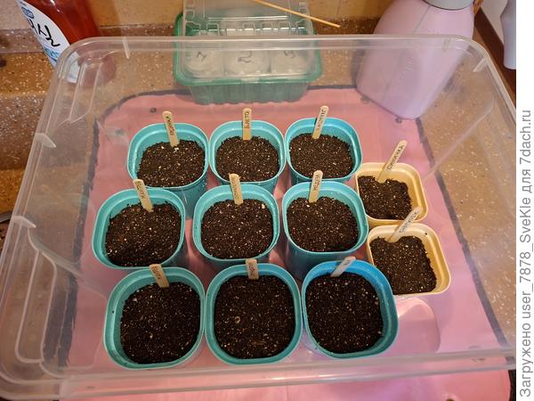 22.02. посеяла