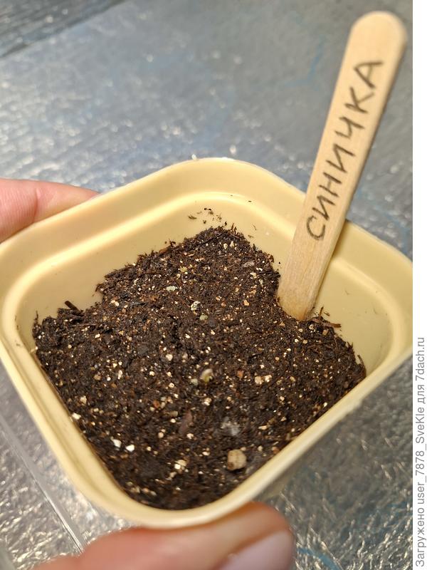 Вот она, долгожданная первая петелька!