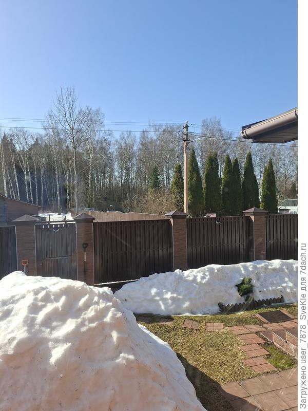 А вот здесь место открытое, не затененное, начинает вдоль расчищаемых всю зиму дорожек земля показываться.