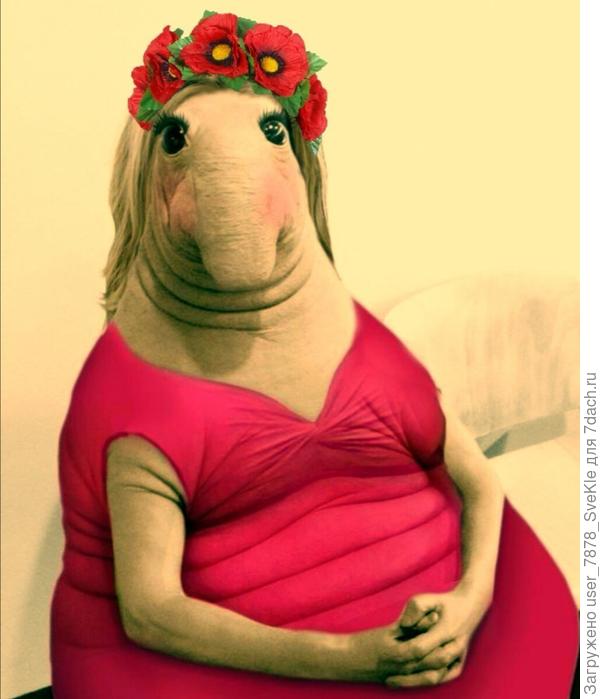 Уже начала ждать всходов 😆