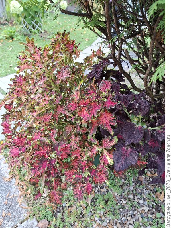 28 сентября 2025