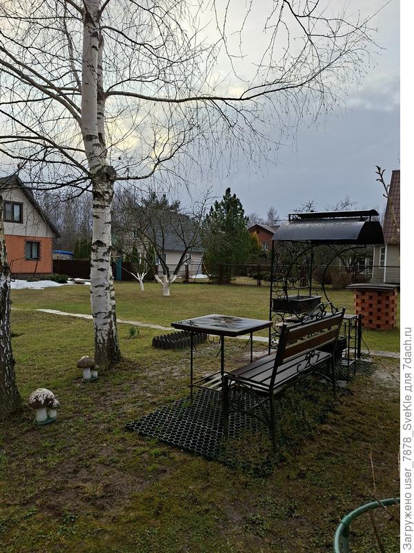 Хоть какой-то тенечек при практически голом участке