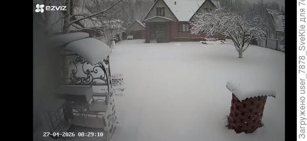 Сейчас на даче