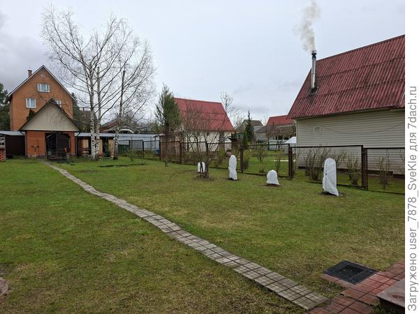 В субботу посадили 2 сирени и 2 гортензии из Подворья. Видимо, теперь это всё еще снегом присыпало)))