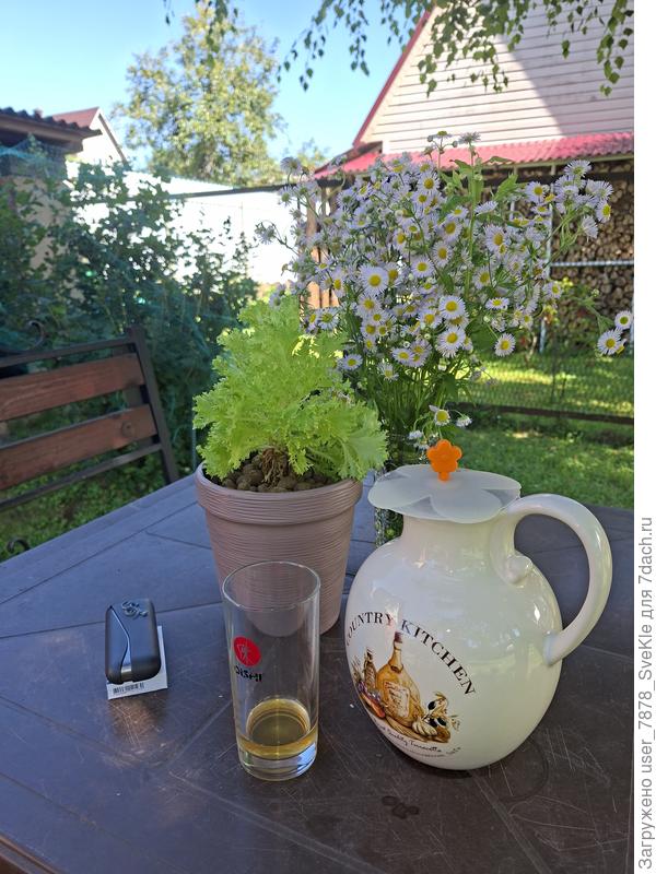 Холодный компот)