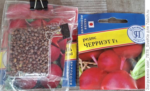 Краснодарское дуро и Чэрриет