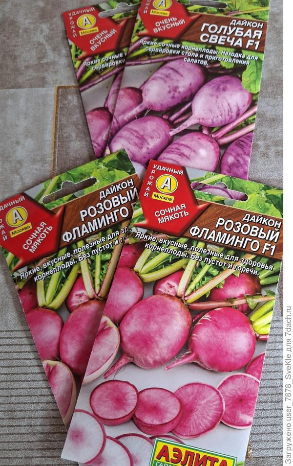 Мои любимые проверенные дайконы