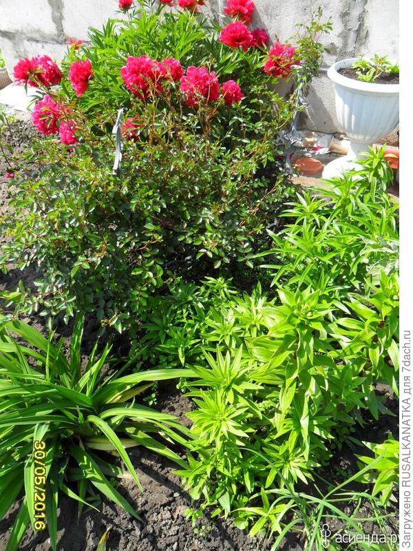 Это самый ранний!