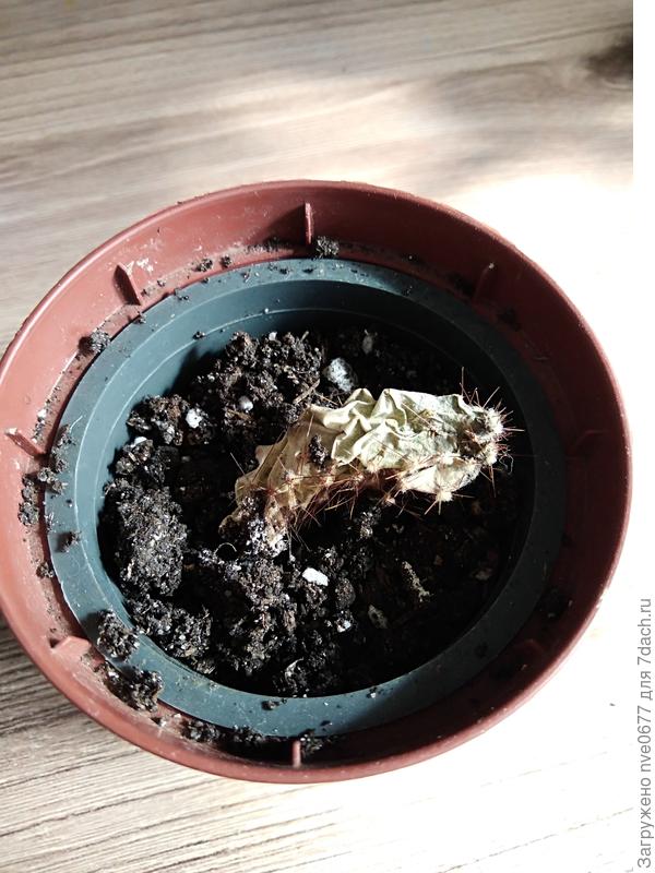 это погибший