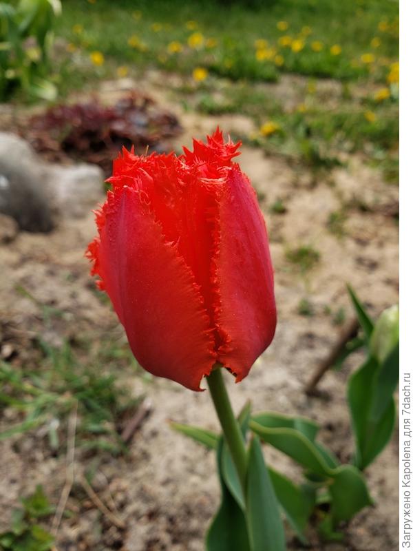 Вот для Вас ещё одна &amp;quot;моя прелесть&amp;quot; )))