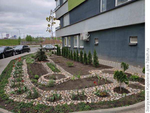 Преобрженный газон