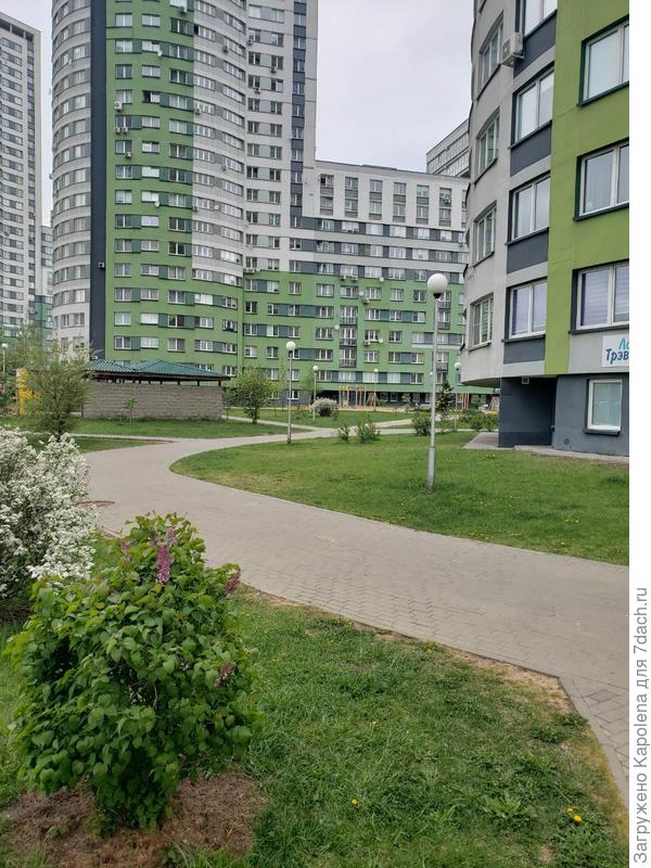 За всем ухаживает обслуживающая организация