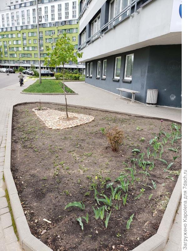 С другой стороны