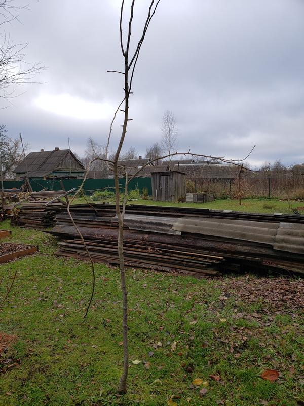 Вид с другой стороны