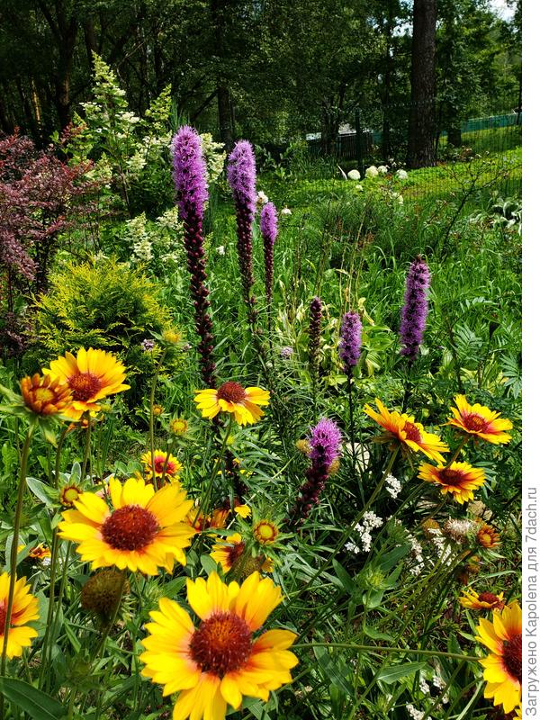 Как же хочется лето!