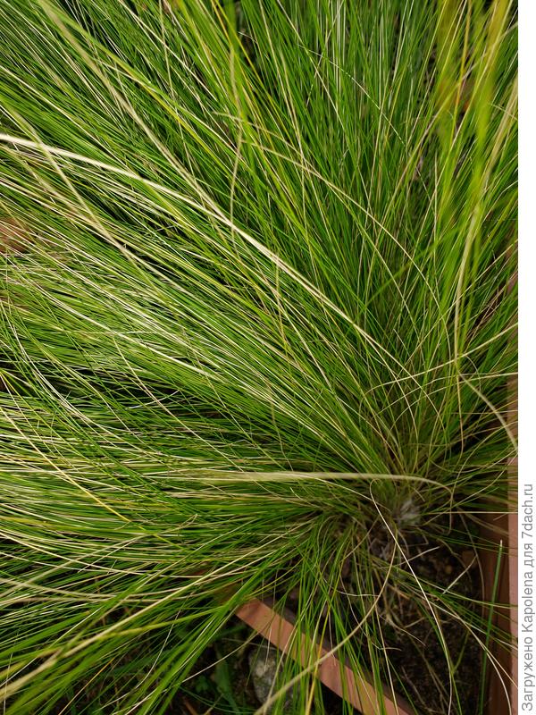 Сейчас такой