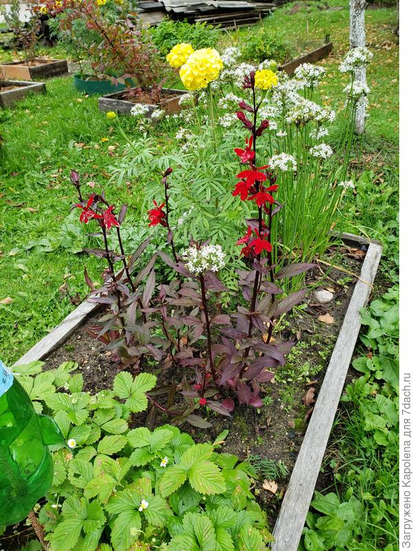 Октябрь 20г. Мне очень цвет нравится