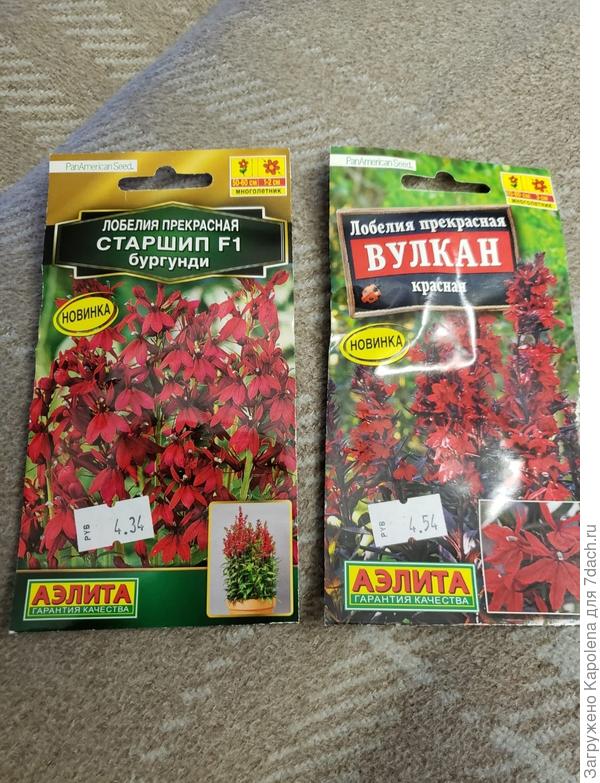 Вулкан уже выращивала