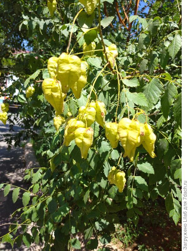 Интересует