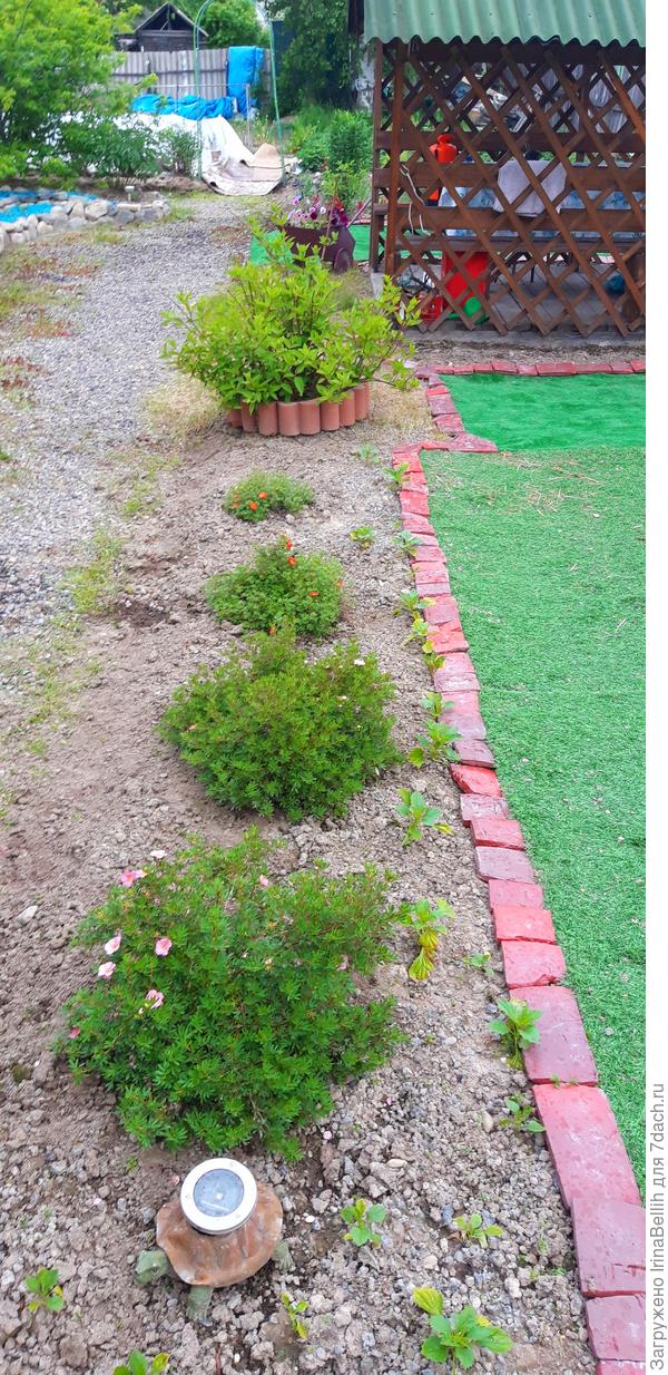 Ирина Белых