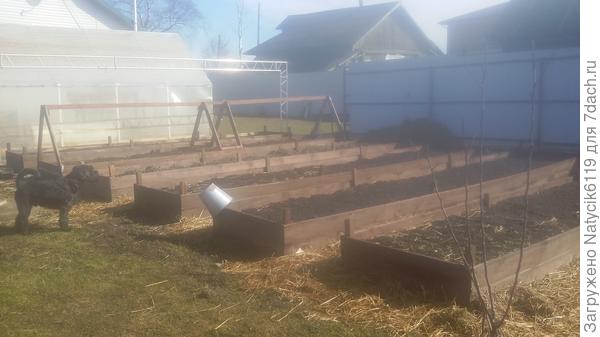 Эти уже служат не 1 год.