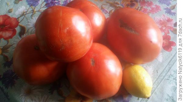 Мои гиганты.