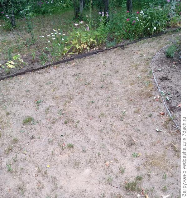 Снизу выровненная песком с землёй,и серая,"родная" на клумбах