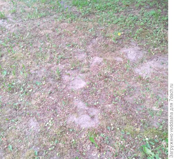 Какая и была...