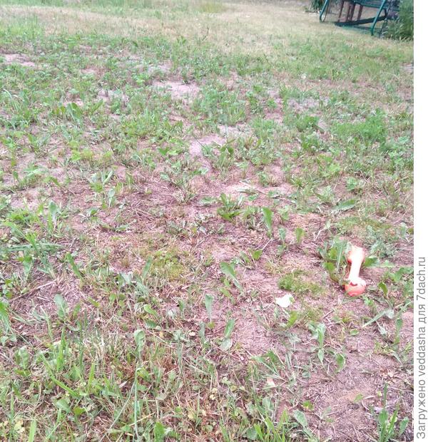 В этом месте поднимала,выравнивала землю 2 года назад,копая пруд,в основном песком,т.к.он начинается где-то в 0,8 м.вглубь