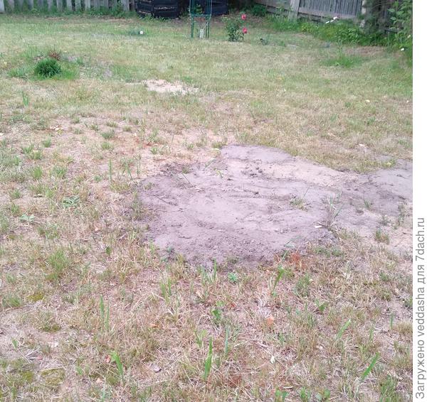 Внизу фото тоже выравнивала в основном песком,серое пятно- земля,которую сажая розу выкопала,подровняла участок