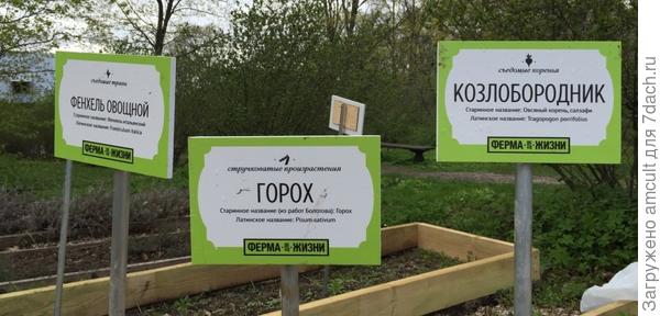 Горожане могут увлечься идеями городского сада и создать свой цветник и даже огород