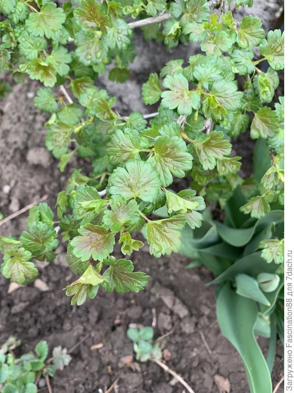 Вчера было так.