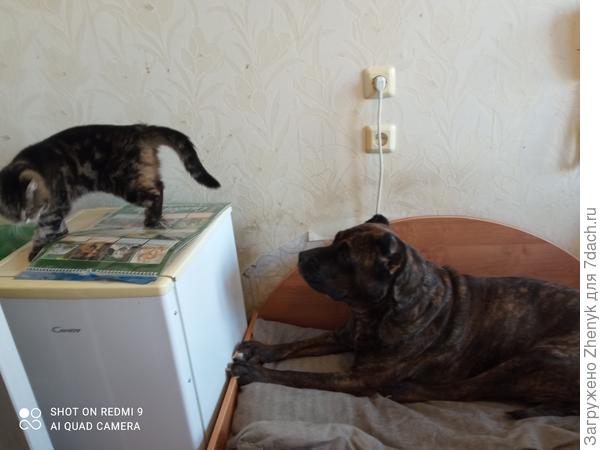 Эта фото для понимания размеров сестренки.