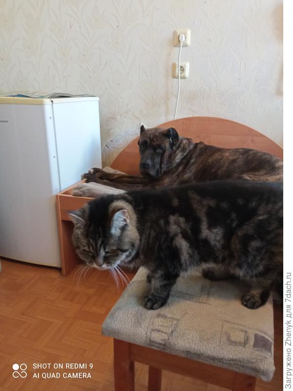 Сестренка за заднем плане.